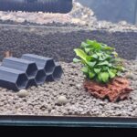 Conjunto de hexágonos