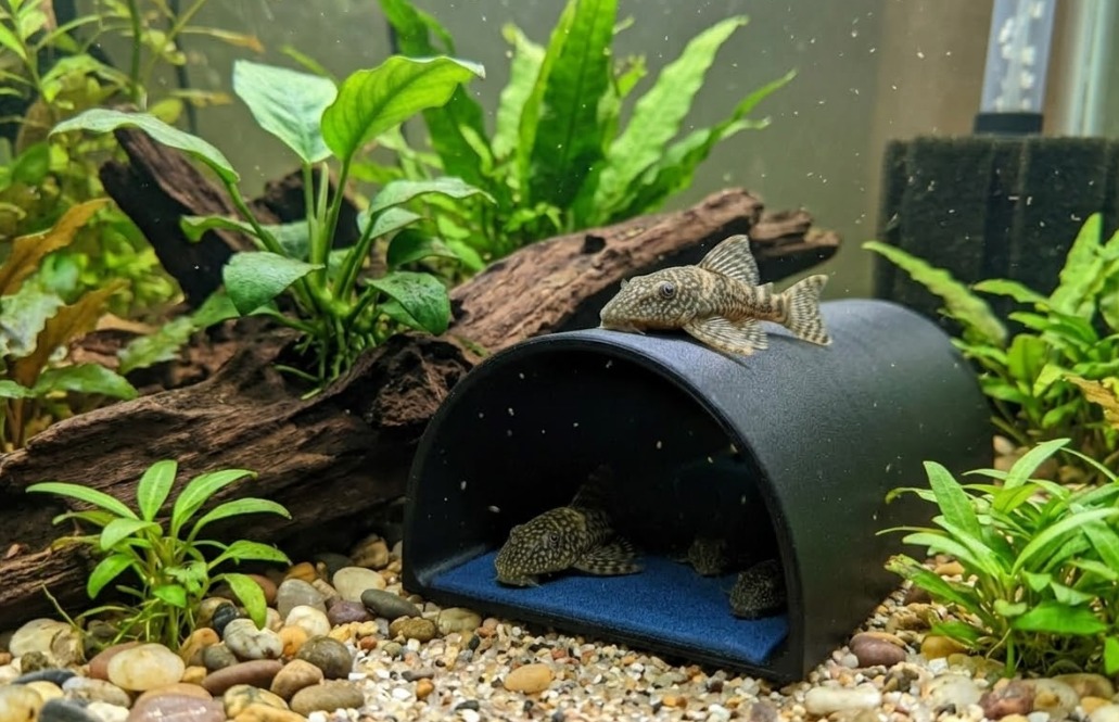 4affeb5c-1808-4a52-a04d-2e905f587217