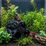 Pirâmide de troncos furados