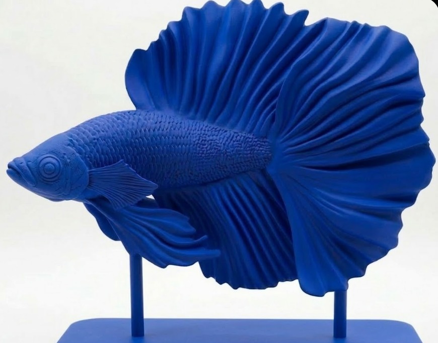 c54776c2-0dba-4cf2-867d-e0591ad432a2