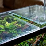 Puxadores de tampa de aquário - pack 4 unidades